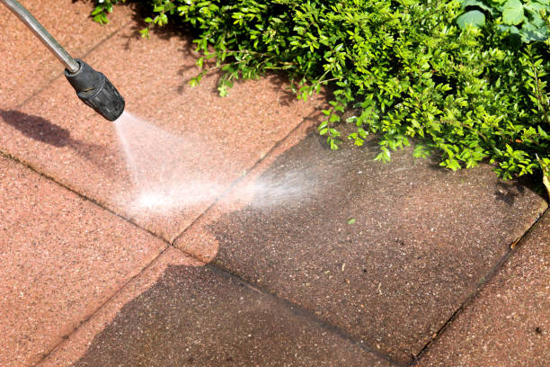 Best Affordable Pressure Washing  in Tazewell, TN